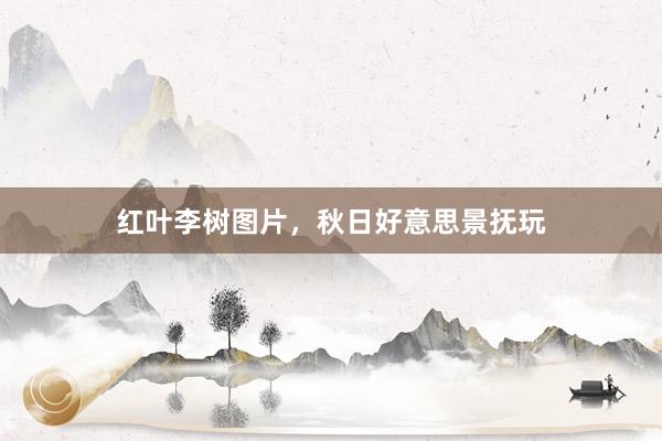 红叶李树图片，秋日好意思景抚玩