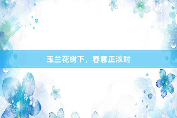 玉兰花树下，春意正浓时